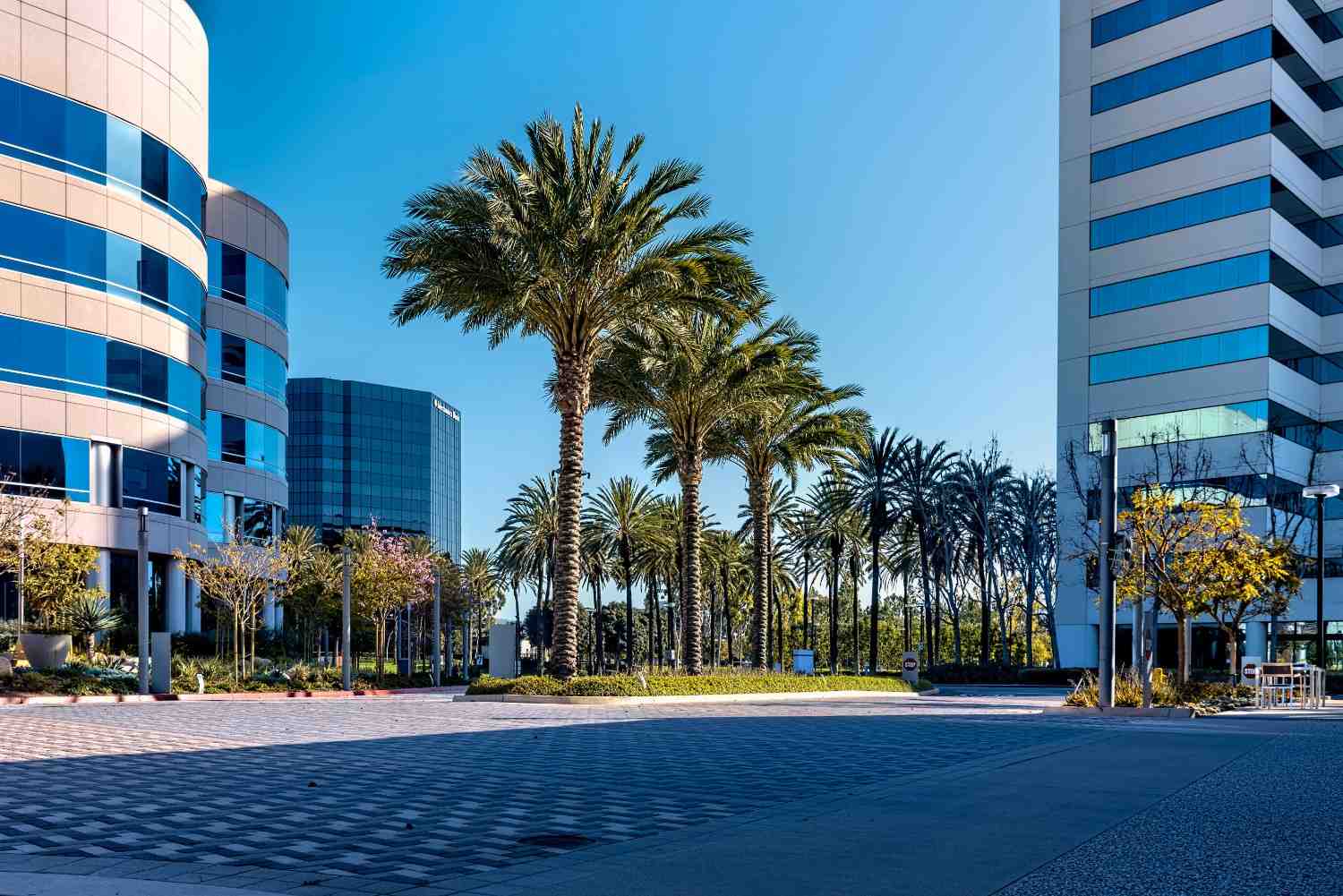 Single tenant commercial real estate property